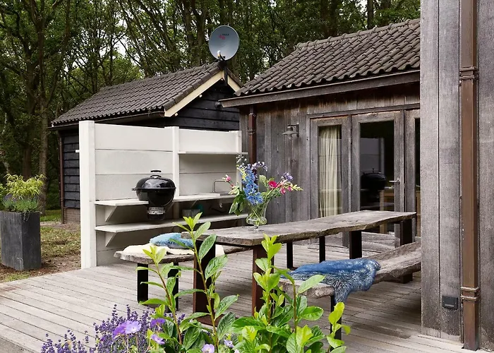 Bosvilla Kennemerduinen